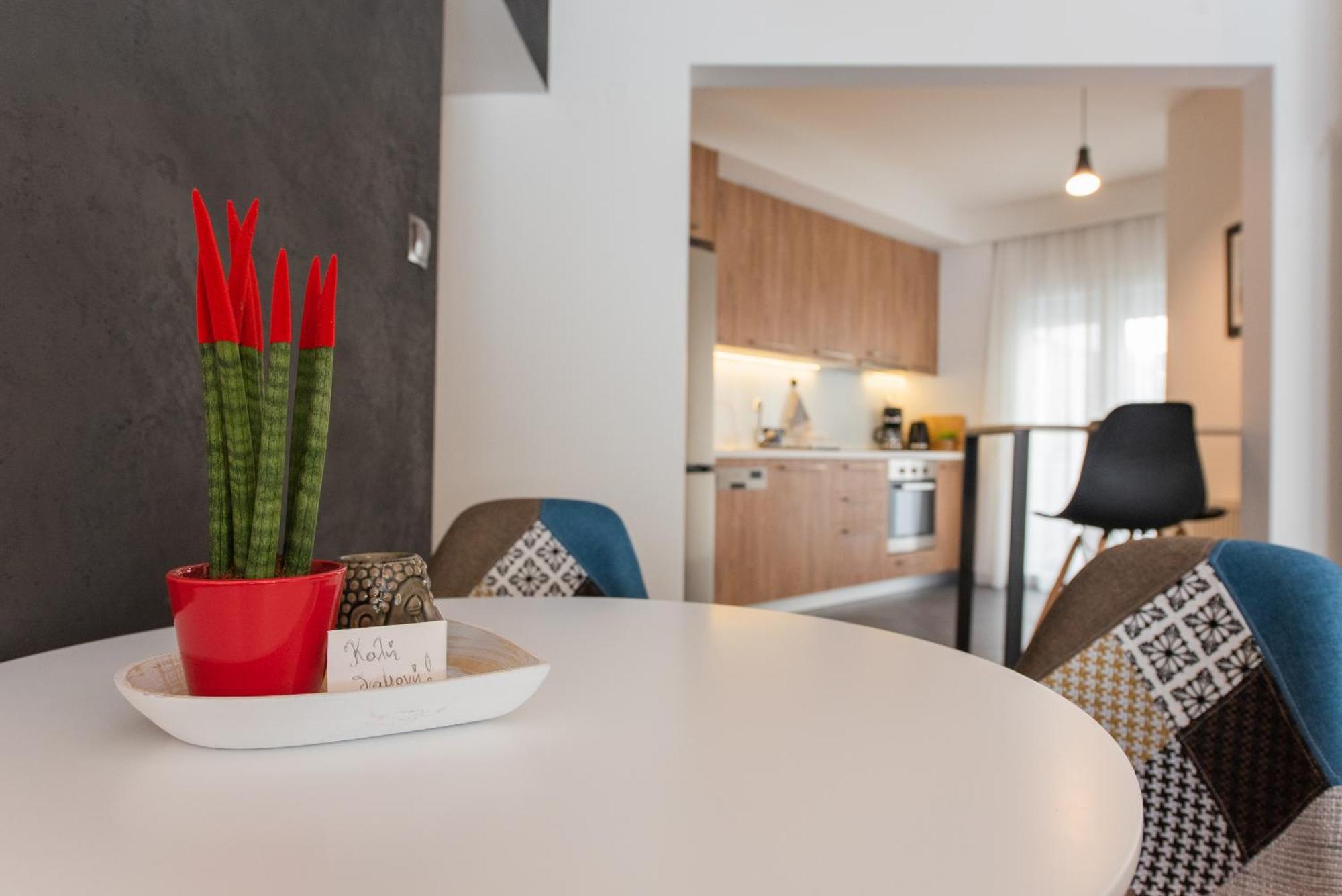 Sansevieria Apartment